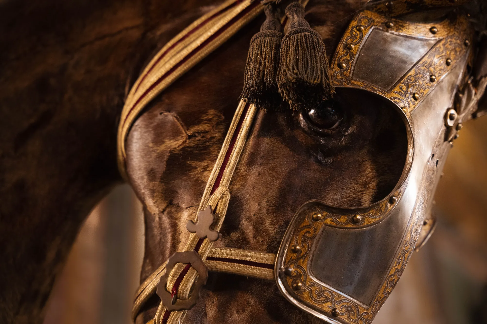 Primo piano dell'occhio di un cavallo con armatura cesellata dorata e nappe, nella penombra