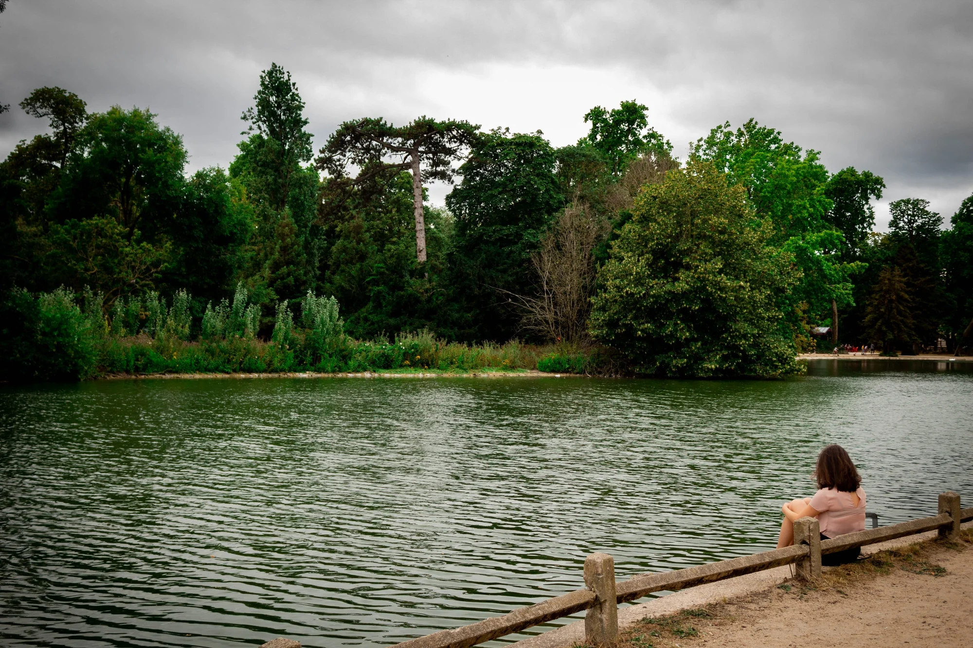 Ragazza seduta di spalle su una staccionata guarda un lago chiuso dagli alberi